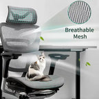 Sedia da ufficio ergonomica con schienale alto in rete – blu / bianca / grigia / marrone, 1 posto