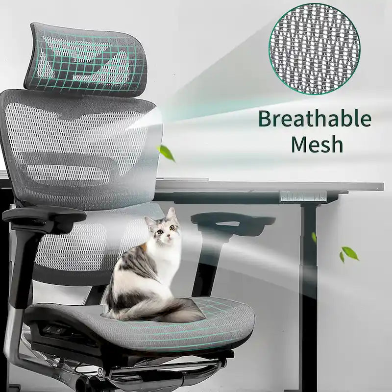 Sedia da ufficio ergonomica con schienale alto in rete – blu / bianca / grigia / marrone, 1 posto