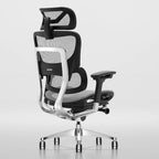Sedia da ufficio ergonomica con schienale alto in rete – blu / bianca / grigia / marrone, 1 posto