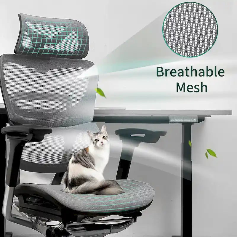 Sedia da ufficio ergonomica con schienale alto in rete – blu / bianca / grigia / marrone, 1 posto