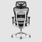 Sedia da ufficio ergonomica con schienale alto in rete – blu / bianca / grigia / marrone, 1 posto