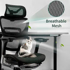 Sedia da ufficio ergonomica con schienale alto in rete – blu / bianca / grigia / marrone, 1 posto
