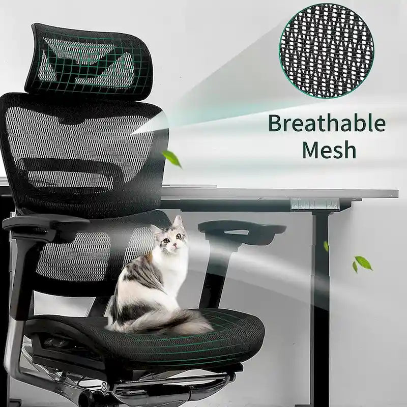 Sedia da ufficio ergonomica con schienale alto in rete – blu / bianca / grigia / marrone, 1 posto
